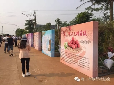 海口市旅行社协会组织近30家旅行社走进澄迈踩线