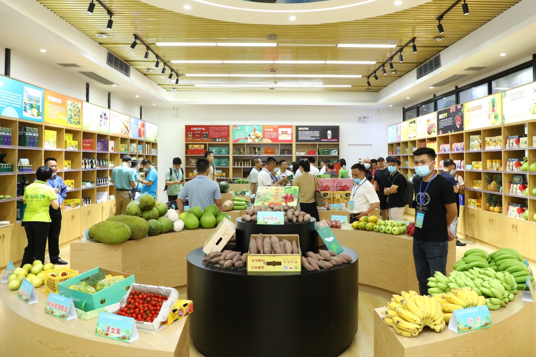 海南3个市县特色农产品走进粤港澳大湾区 签约订单超1.3亿元