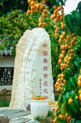 云浮市郁南县委书记梁世军:做强优势做精特色,闯出特色农业大县乡村振兴新路