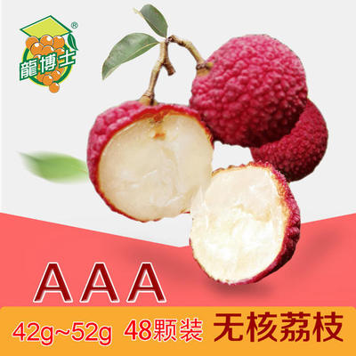 【龙博士】钜园无核荔枝 至尊果( AAA恐龙蛋) 单果42g-52g 48颗/约4.6斤(2.3kg)