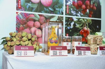 广州荔枝采摘上市,今年将有巨美人、无核、岭丰糯等新品种