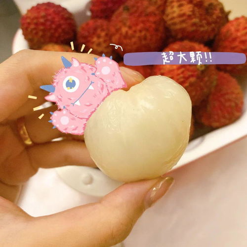 荔枝饮品大测评,即刻拥有初夏快乐 丨xx玩乐团