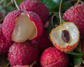 安心直采增城仙进奉荔枝 品味无核香甜的盛夏佳果