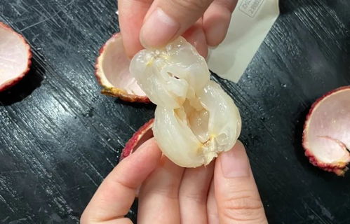 热门荔枝大测评 无核荔枝来报恩了